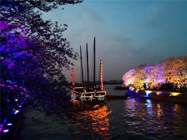 太湖景觀帆船